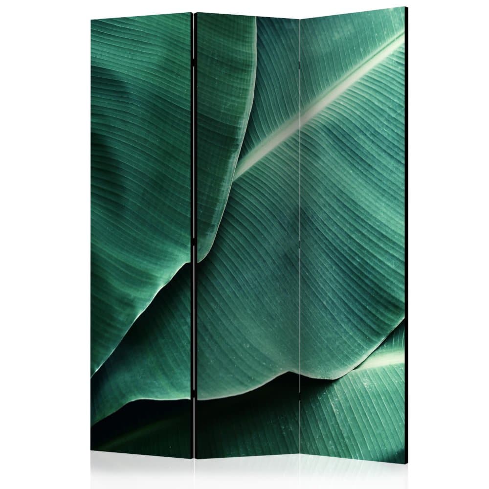 Paraván Banana Leaf Dekorhome 1