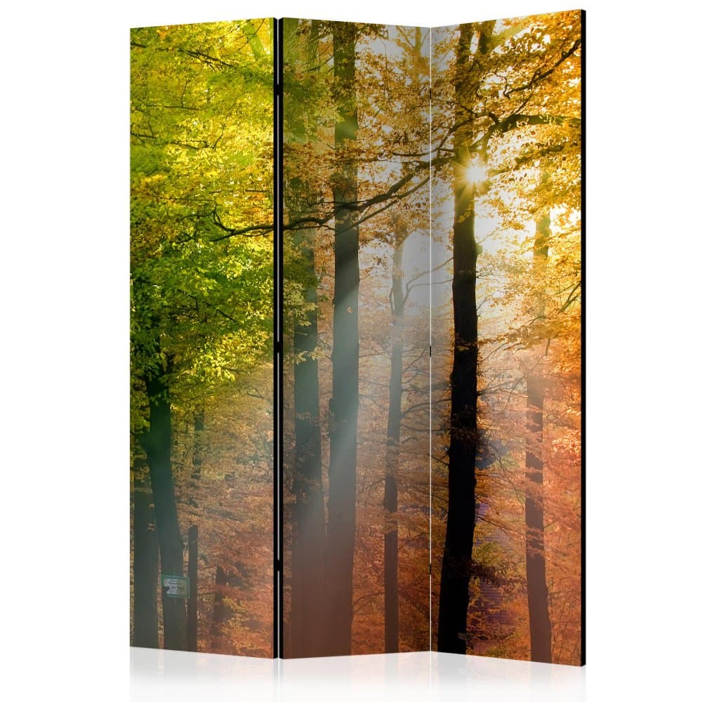 Paraván Forest Colours Dekorhome 1