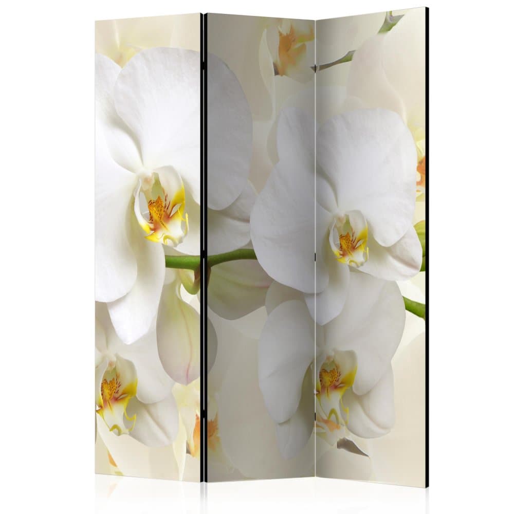 Paraván Orchid Branch Dekorhome 1