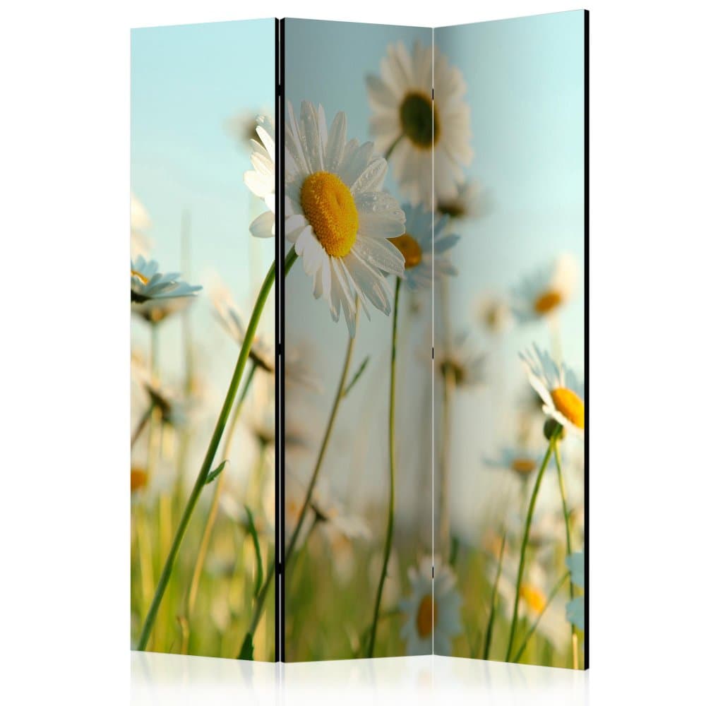 Paraván Daisies - spring meadow Dekorhome 1