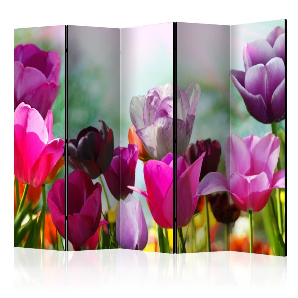 Paraván Beautiful Tulips II Dekorhome 1
