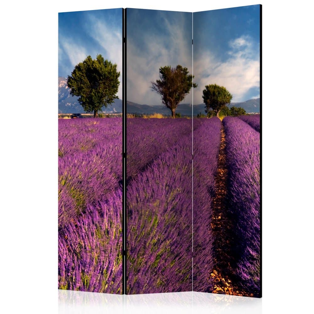 Paraván Lavender field in Provence, France Dekorhome 1