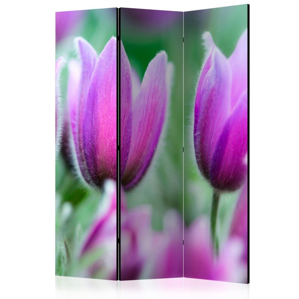 Paraván Purple spring tulips Dekorhome 1