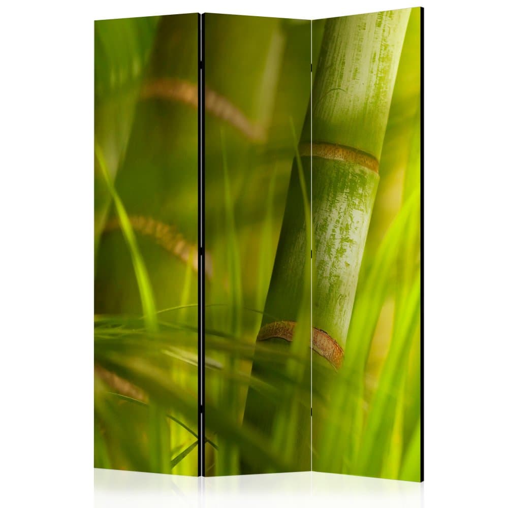 Paraván Bamboo - nature zen Dekorhome 1