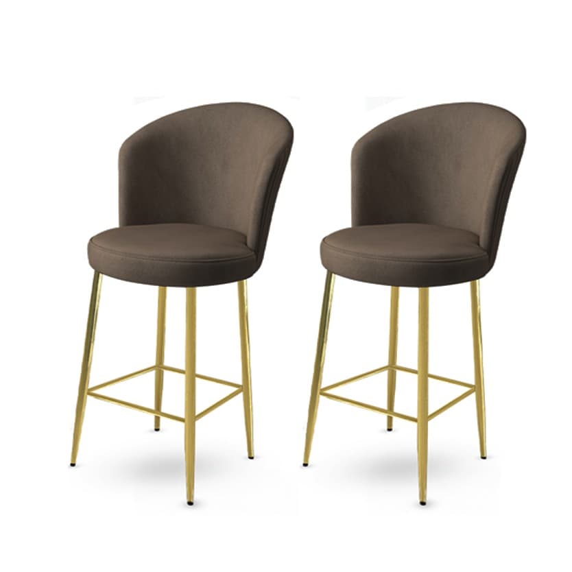 Bar Stool Set (2 Pieces) Fora - Anthracite, Gold 1