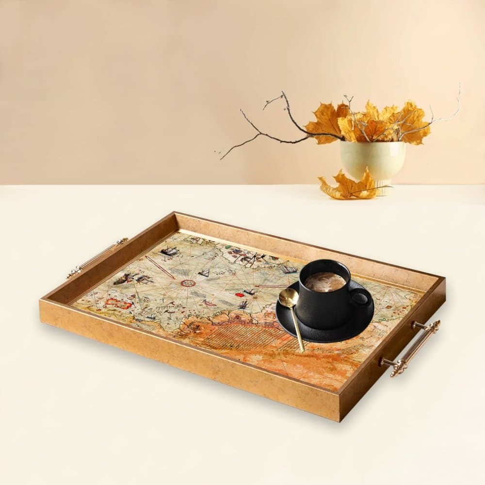 Tray TPEA9903 1