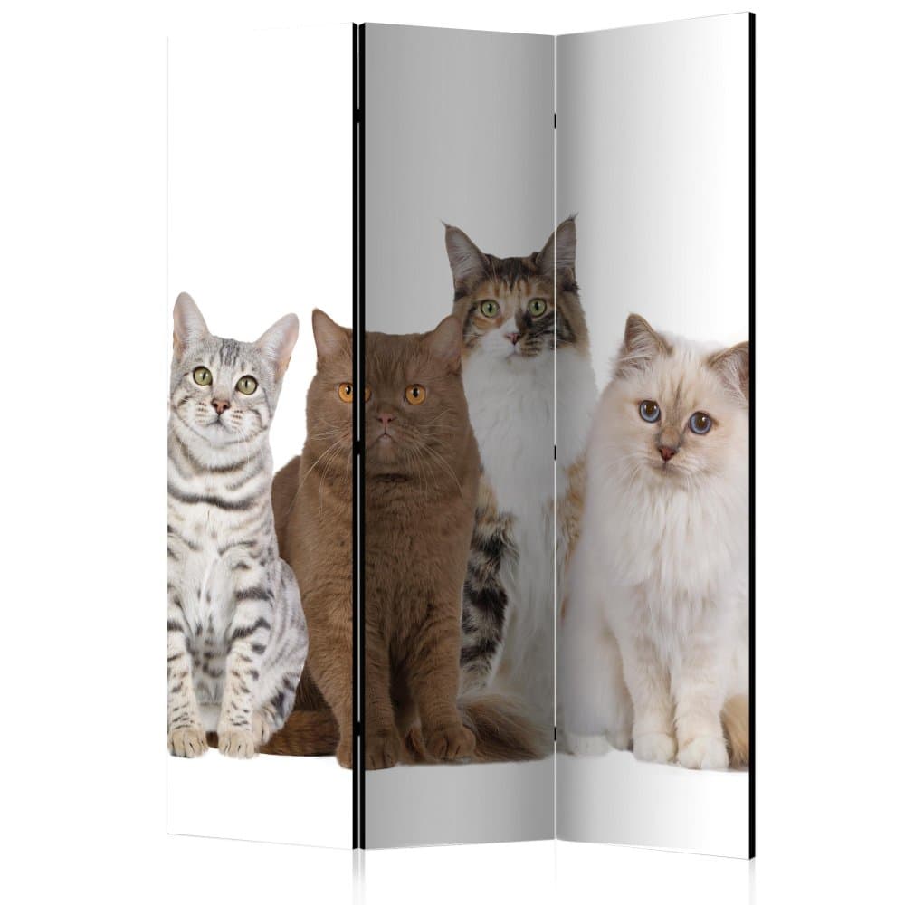 Paraván Sweet Cats Dekorhome 1