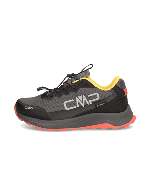PHELYX WP 1