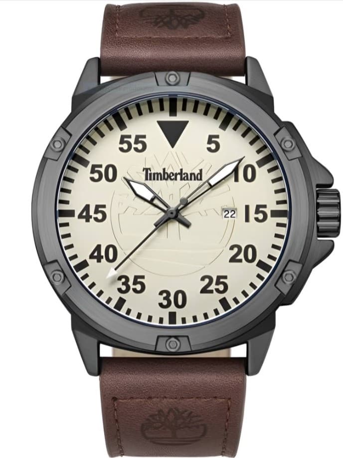 Pánske hodinky Timberland TDWGB9002802 + krabička 1