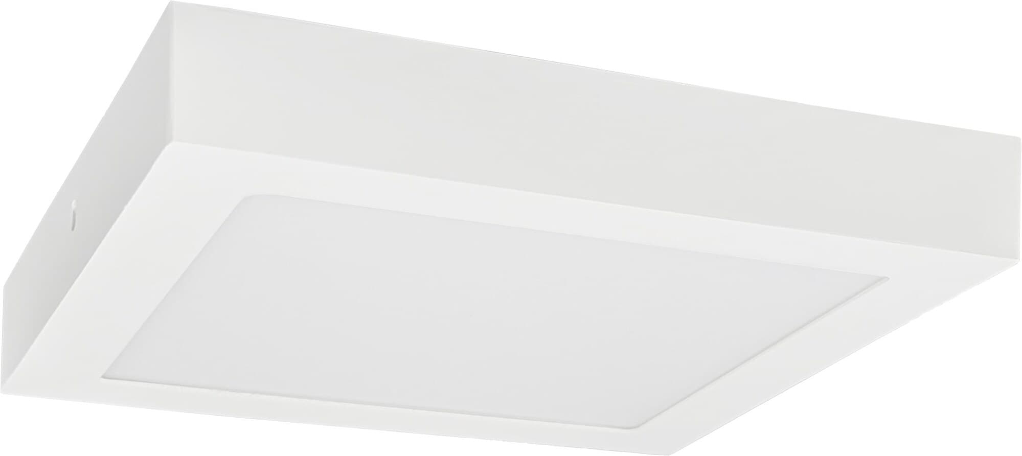 LED FENIX-S White 12W CCT 1100/1600lm - Přisazené LED svítidlo typu downlight 1