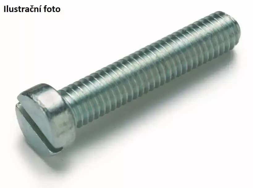Válcový šroub M4/20 mm (100 ks) 1
