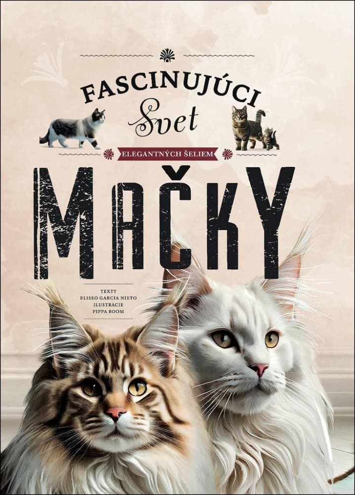 Mačky 1