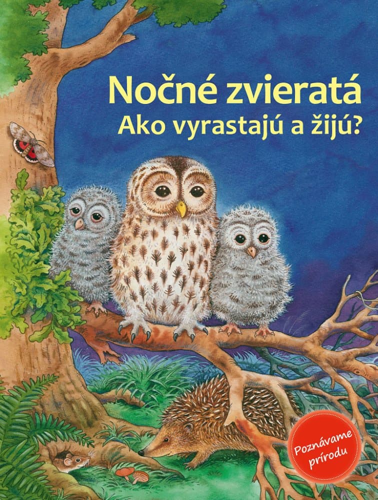 Nočné zvieratá 1