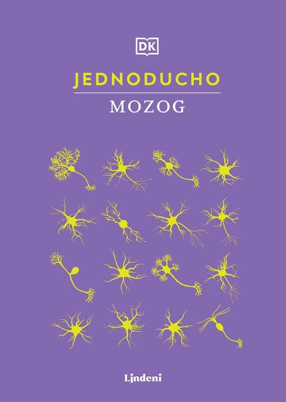 Jednoducho - Mozog 1