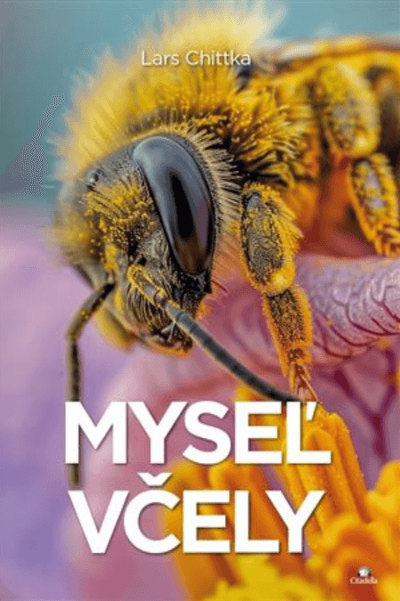 Myseľ včely 1