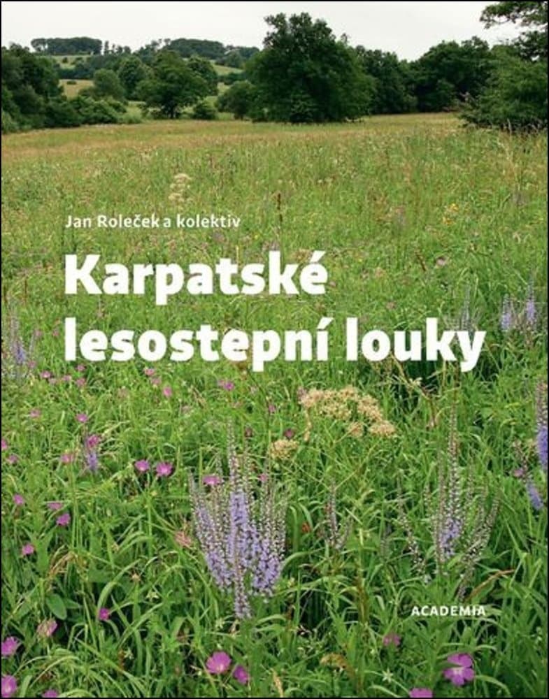 Karpatské lesostepní louky 1