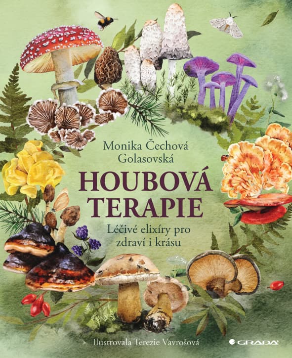 Houbová terapie/Léčivé elixíry pro zdraví i krásu 1