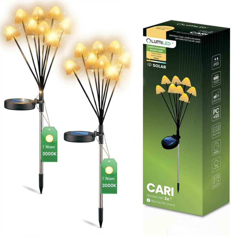 2x LED solárne záhradné svietidlo s pohonom 3000K IP65 CARI LUMILED