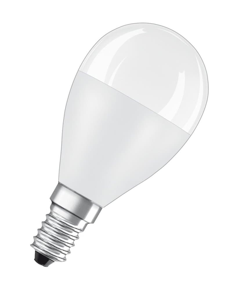 LED žiarovka E14 P45 8W = 60W 806lm 6500K Cold OSRAM Value 1