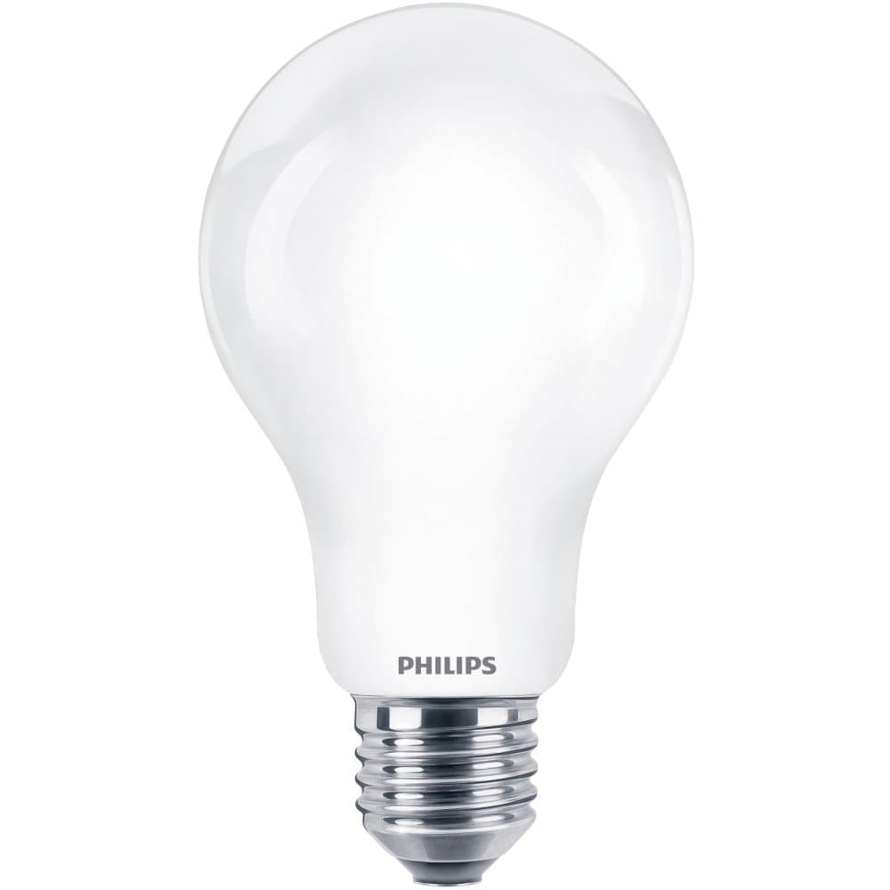 LED žiarovka E27 A67 13W = 120W 2000lm 6500K Cold PHILIPS 1
