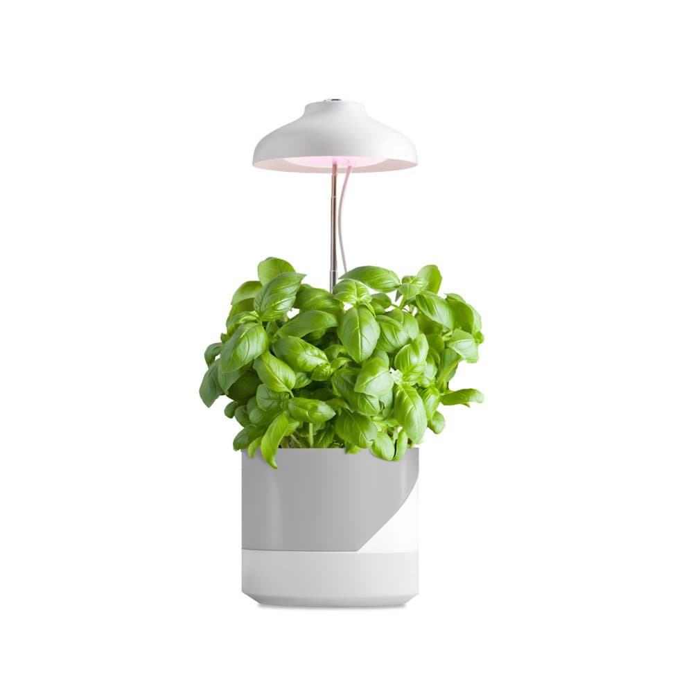 Stolová lampa LED na podporu rastu rastlín 5W 220lm 3000K teplá biela 110° Verdi Kobi