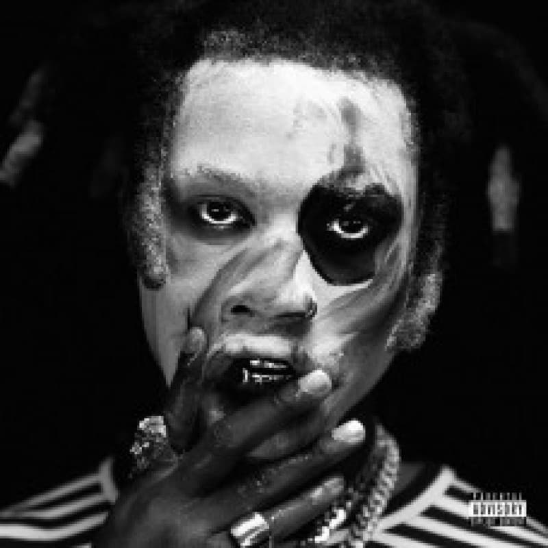 Vinyl Denzel Curry - TA13OO