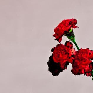 CD John Legend - Love In The Future 1
