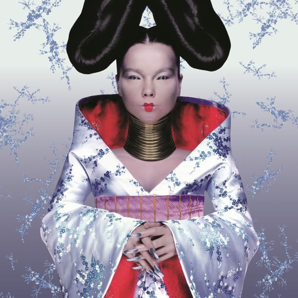 Vinyl Björk - Homogenic 1
