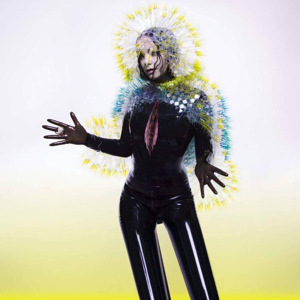 Vinyl Björk - Vulnicura 1