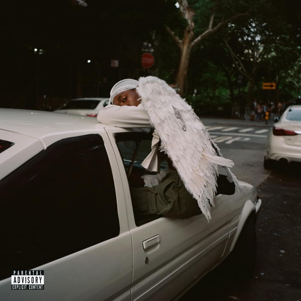 CD Blood Orange - Negro Swan