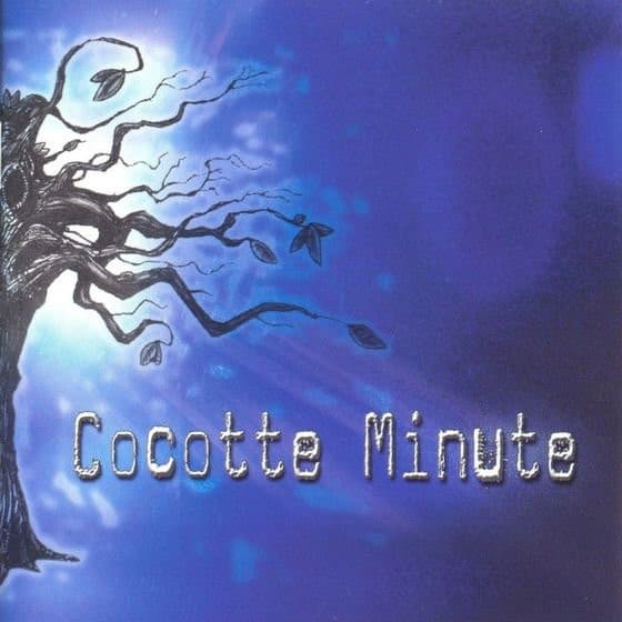 CD Cocotte Minute - Czeko 1