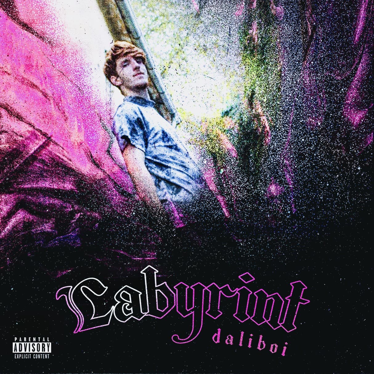 CD Daliboi - Labyrint 1