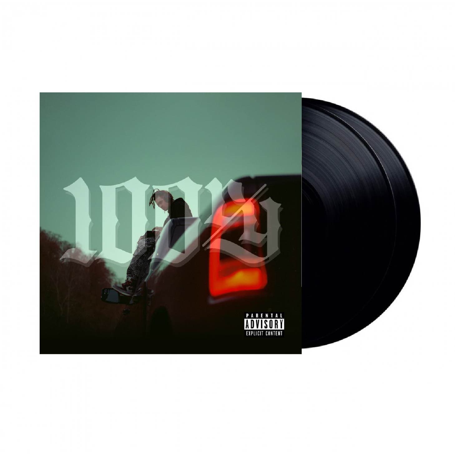 Vinyl Dame - 100ry 1
