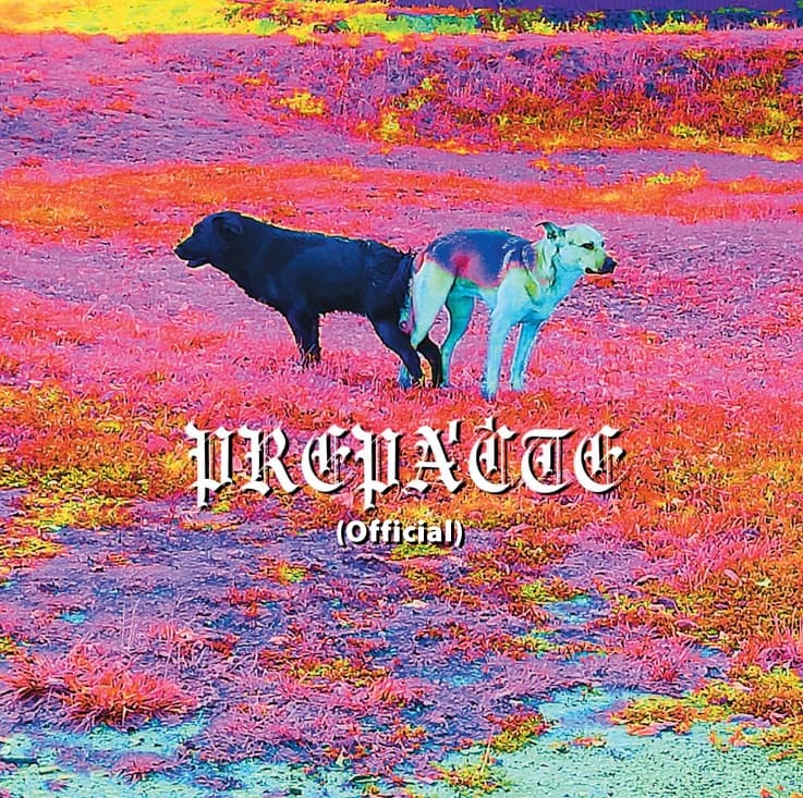 CD DMS - Prepáčte 1