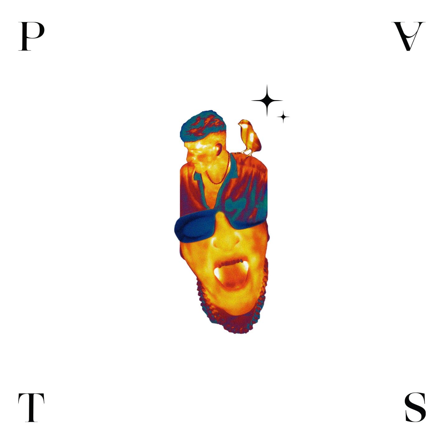 CD Forgen - PVST 1