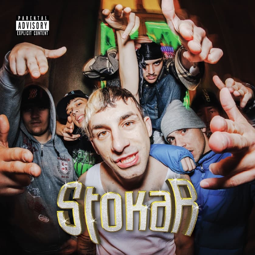 CD Frayer Flexking - Stokar