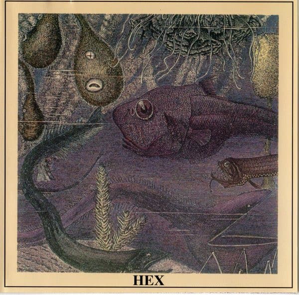 Vinyl Hex - Hex 1