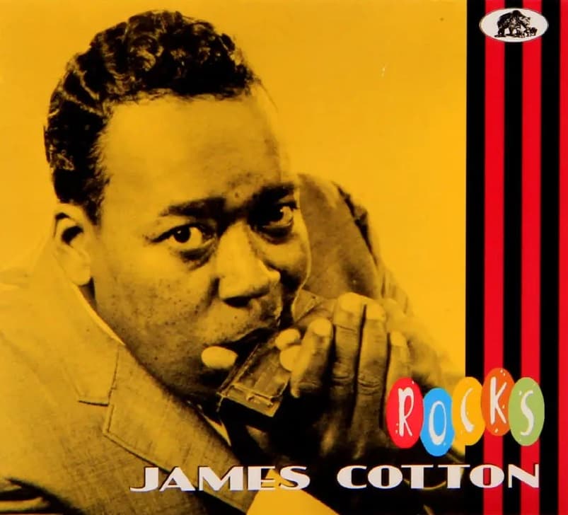 CD James Cotton - Rocks 1
