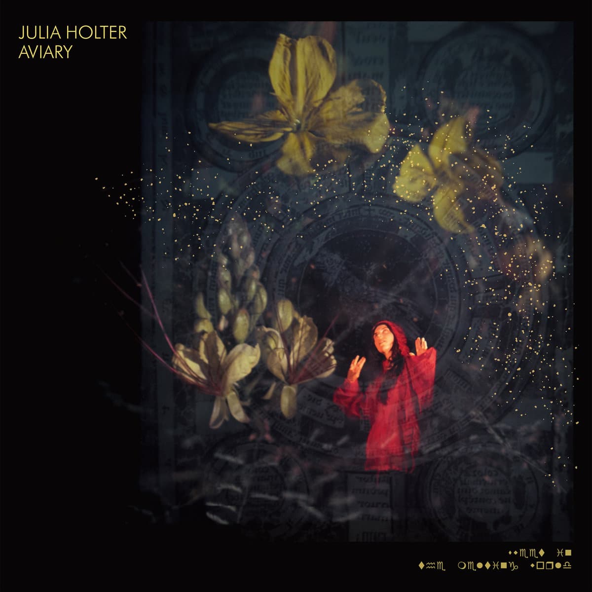 CD Julia Holter - Aviary 1