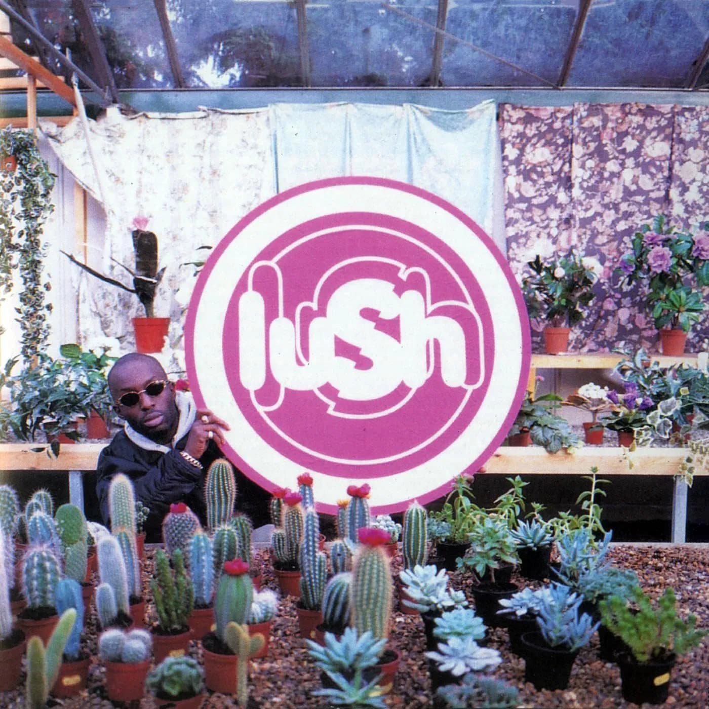 Vinyl Lush - Lovelife