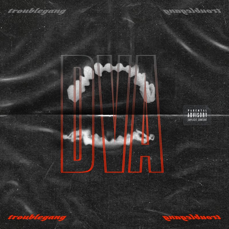CD Troublegang - DVA