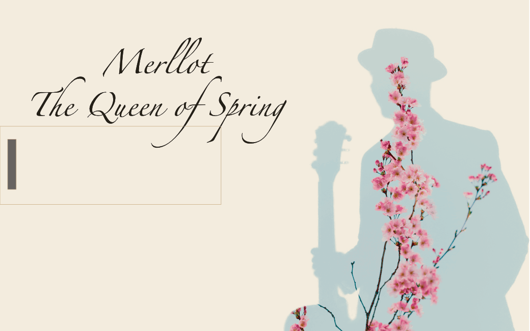 USB Merllot - The Queen of Spring 1
