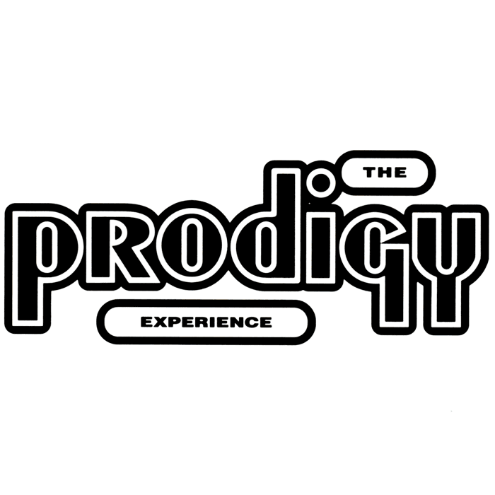 Vinyl The Prodigy - Experience