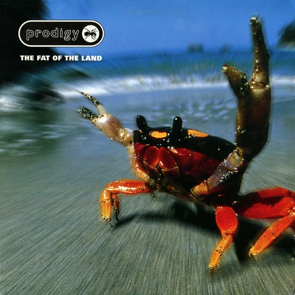 Vinyl The Prodigy - The Fat Of The Land 1