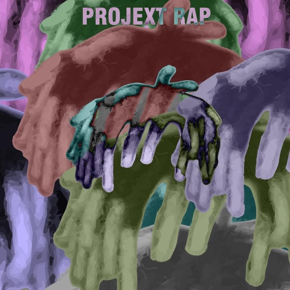 CD Psycho Rhyme - Projext Rap 1