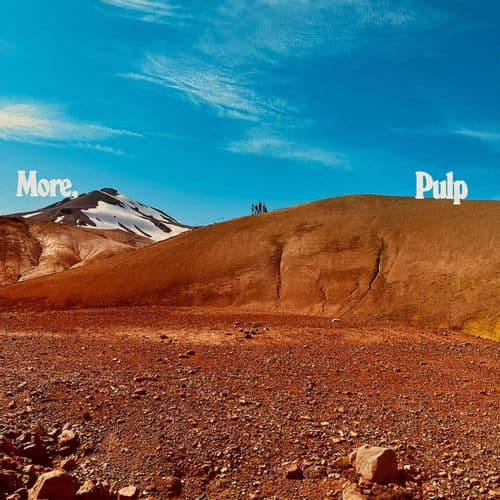 Vinyl Pulp - More 1