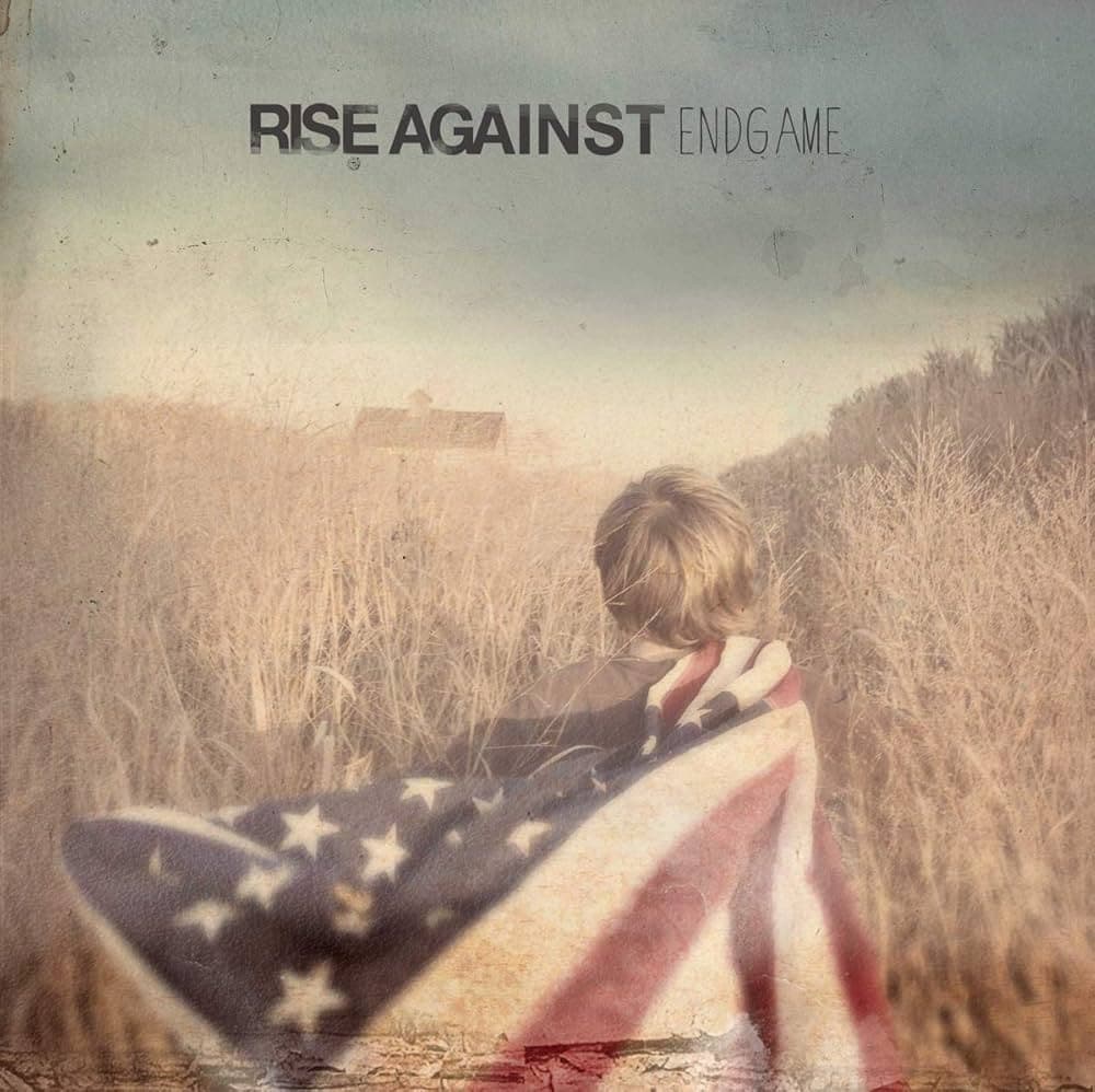 Vinyl Rise Against - Endgame