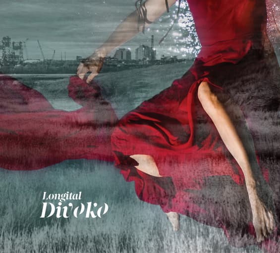 CD Longital - Divoko 1