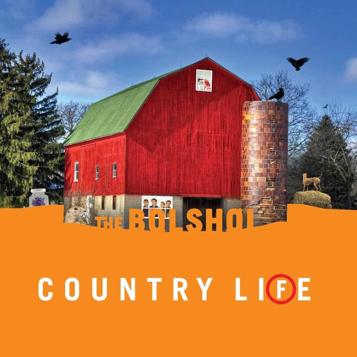 Vinyl The Bolshoi - Country Life (Sun Orange / Grass Green Vinyl)