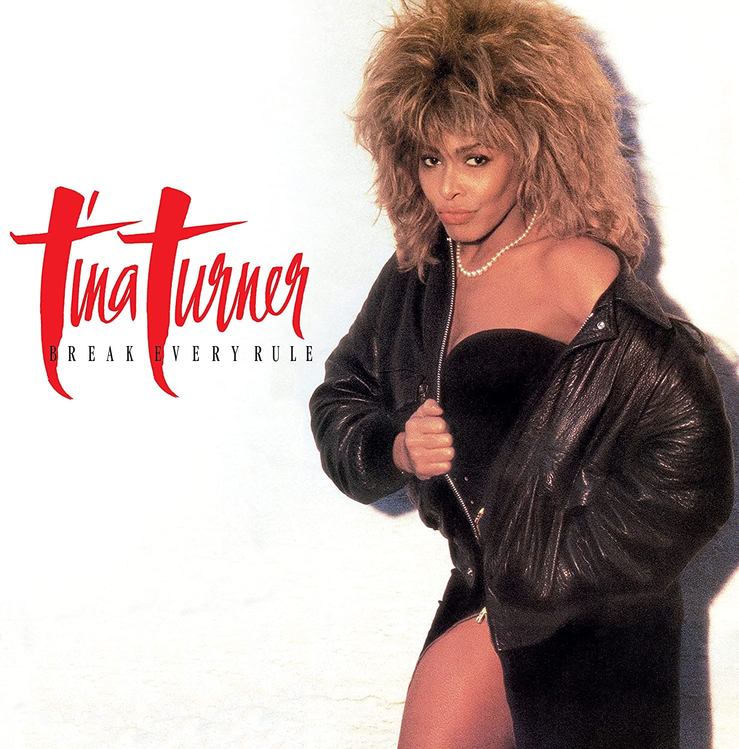Vinyl Tina Turner - Break Every Rule